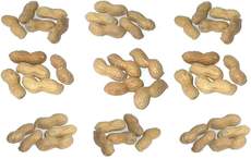 Erdnüsse-9x5.jpg